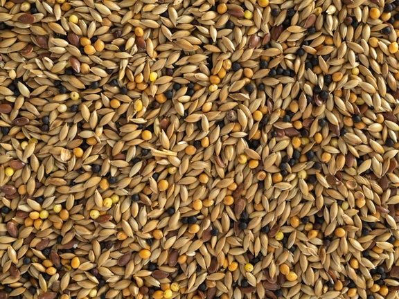 Canary Mix 5kg