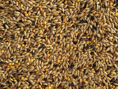 Canary Mix 5kg