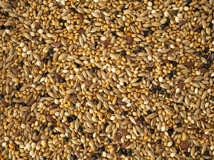 Finch Mix 5kg