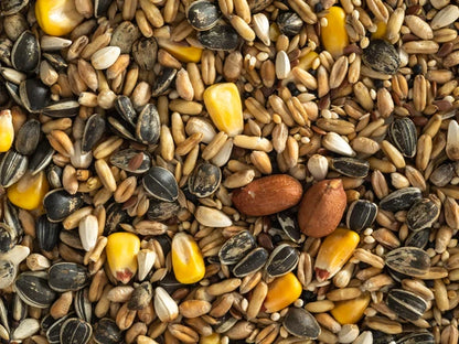 Topflite Parrot Mix 5kg
