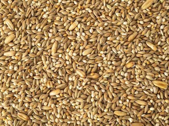 Budgie Mix 5kg