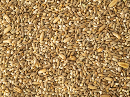 Budgie Mix 5kg