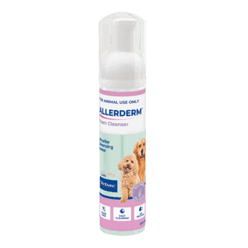 Allerderm Foam Cleanser