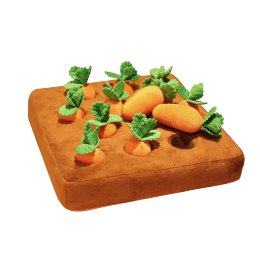 Carrot Patch