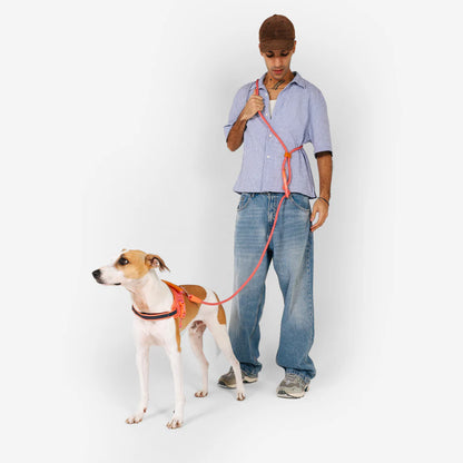 Zee.Dog Hands Free Leash - Gazelle