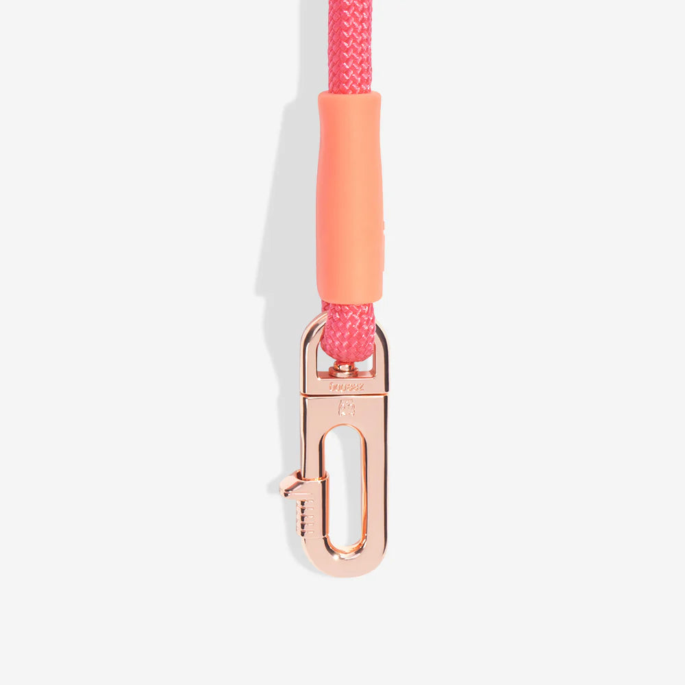 Zee.Dog Hands Free Leash - Gazelle
