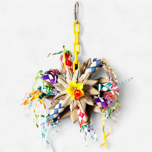 A&E The Pinwheel Bird Toy