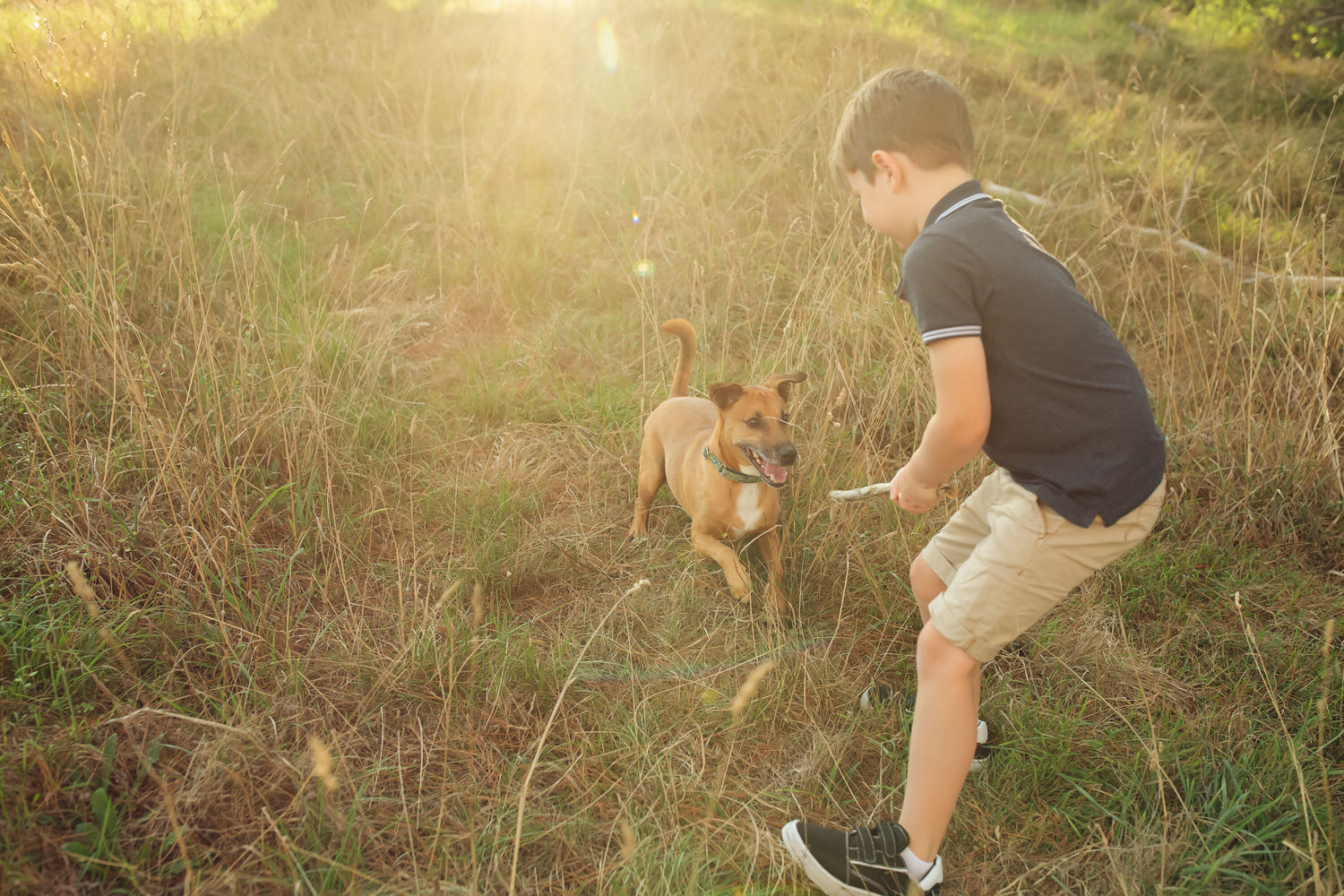 Boy playing with a dog in a grassy field