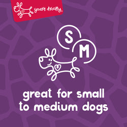 Yours Droolly Animal Shapes Dog Treats-  Variety 4pk