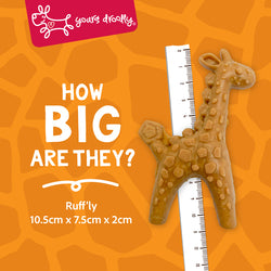 Yours Droolly Dog Treats - Animal Shapes with Chicken Paste 6pk