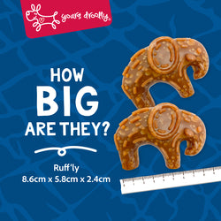 Yours Droolly Dog Treats - Animal Shapes with Chicken Paste 6pk