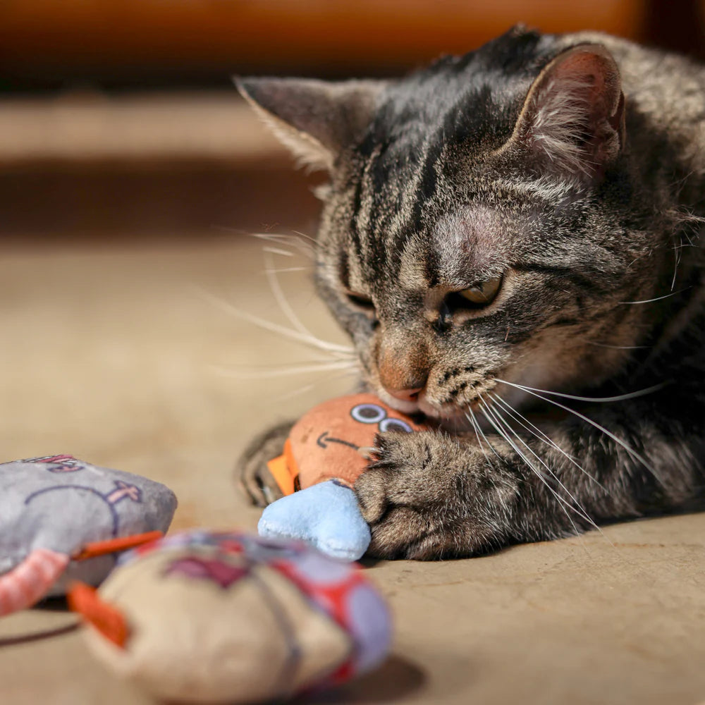 CDSG Cat Toys