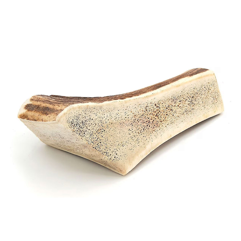 Split Antler Lge