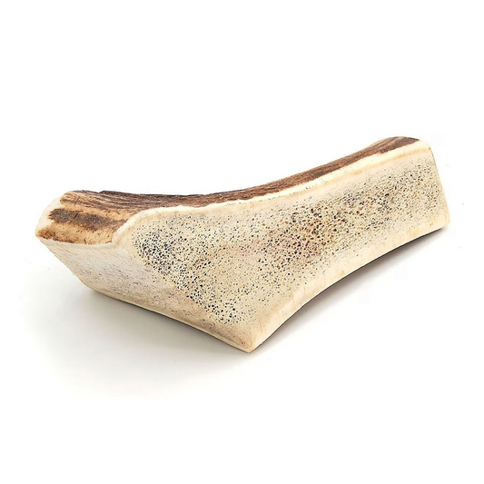 Split Antler Lge