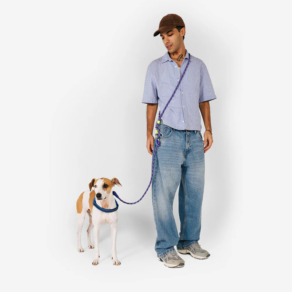 Zee.Dog Hands-Free Leash - Tokyo