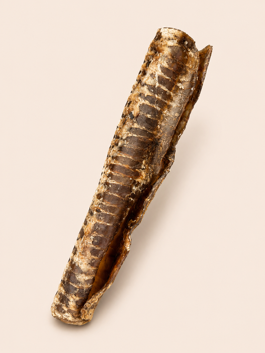 Air-Dried Beef Trachea
