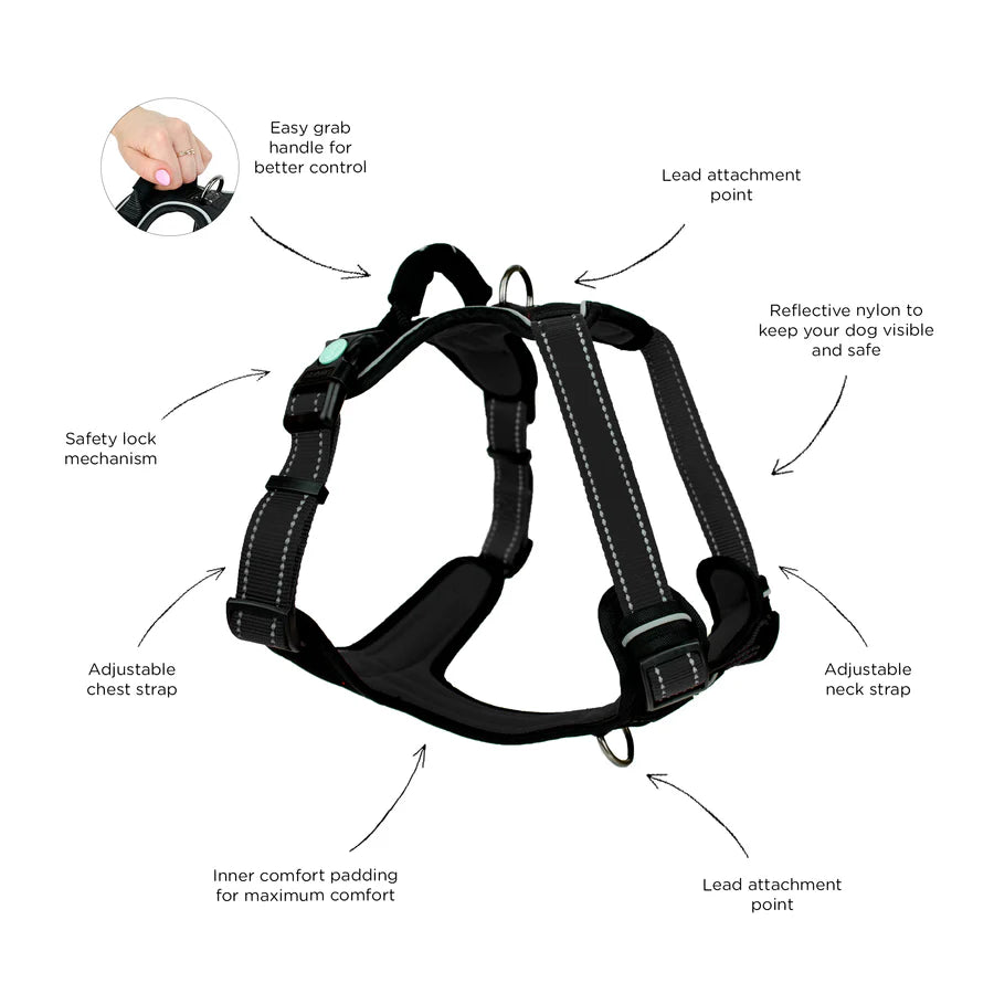 Huskimo Ultimate Harness - Dark Sky