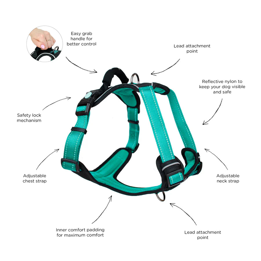 Huskimo Ultamate Harness - Ningaloo