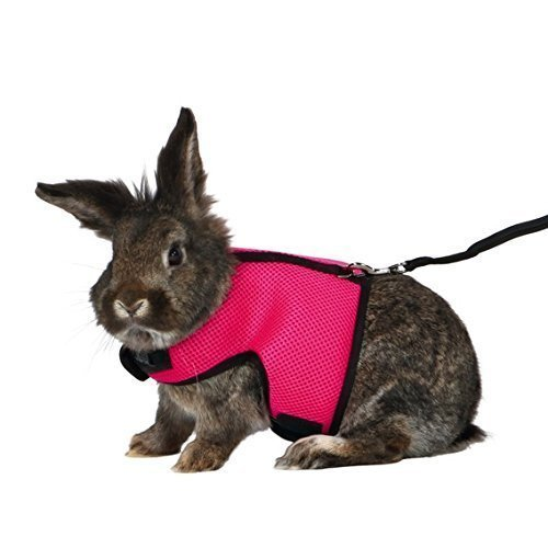 Large Rabbit Harness Full Body Adjustable Harness & Lead Set Various Colours